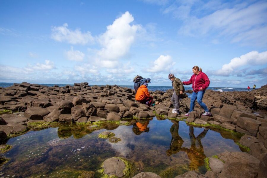 Dublin: Giant's Causeway & Belfast (Titanic or Black Taxi) - Who Should Book This Dublin to Giant’s Causeway & Belfast Tour?