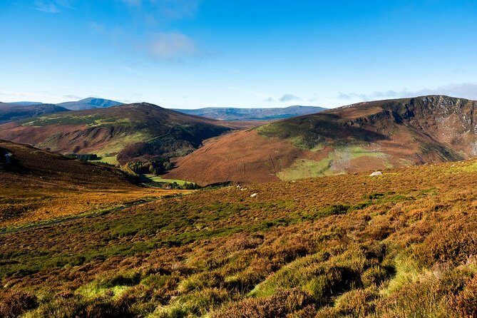 Dublin: Glendalough, Wicklow, Kilkenny and Sheepdog demonstration - Wicklow Mountains National Park stop: quick Wicklow Gap views