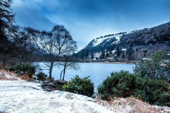 Dublin: Glendalough, Wicklow, Kilkenny and Sheepdog demonstration - Kilkenny Castle Park and medieval Kilkenny: how to use your 2 hours