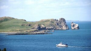 Dublin: Howth Cliffs and Ireland's Eye Boat Cruise - From West Pier to the cliffs: what the 60-minute route actually gives you