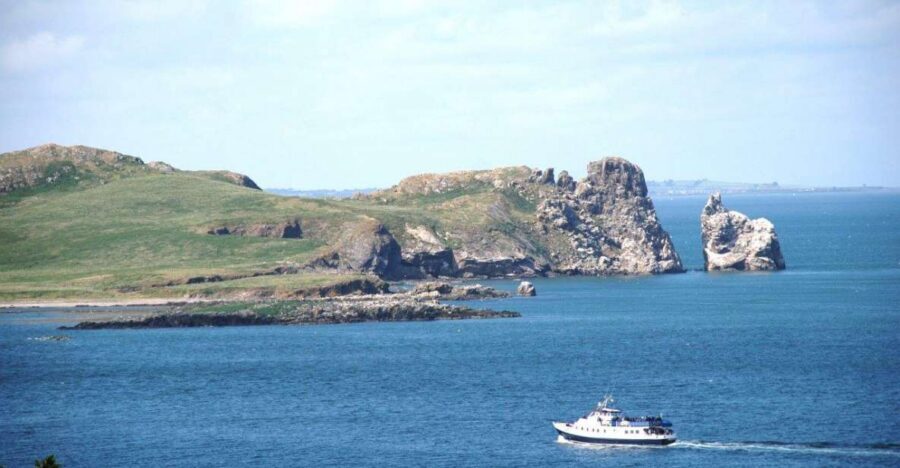 Dublin: Howth Cliffs and Ireland's Eye Boat Cruise - Ireland’s Eye from the water: seals, birds, and no landing