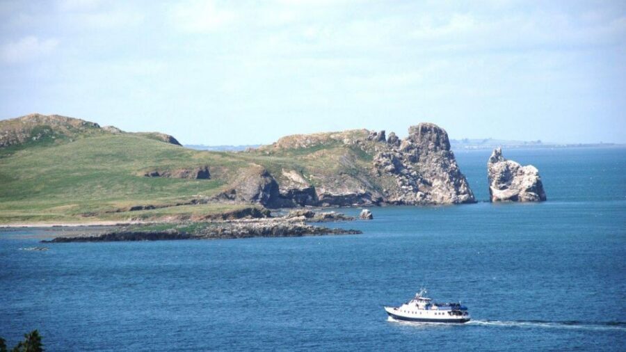 Dublin: Howth Cliffs and Ireland's Eye Boat Cruise - From West Pier to the cliffs: what the 60-minute route actually gives you
