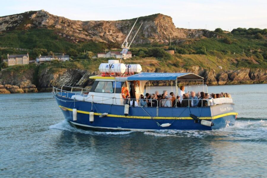 Dublin: Howth Cliffs and Lighthouse Cruise - Cruising Dublin Bay Biosphere: Birds, Seals, and Photo Spots