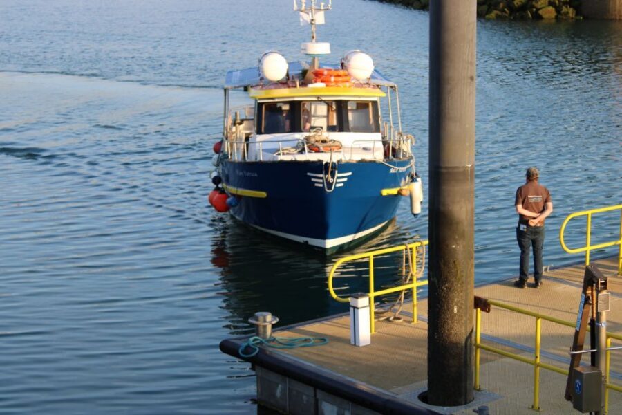 Dublin: Howth Cliffs and Lighthouse Cruise - Finding the West Pier in Howth (and what to bring)
