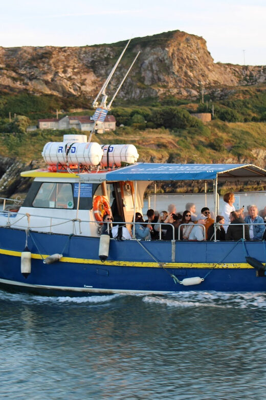 Dublin: Howth Coast and Ireland's Eye Boat Tour - What You See Around Ireland’s Eye: seals, birds, and the island’s rules
