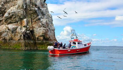 Dublin: Howth Coastal Boat Tour - Howth Harbor Start at 9 W Pier (and what to look for)