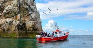 Dublin: Howth Coastal Boat Tour - The 50-Minute Cruise Loop Around Ireland’s Eye (the main event)