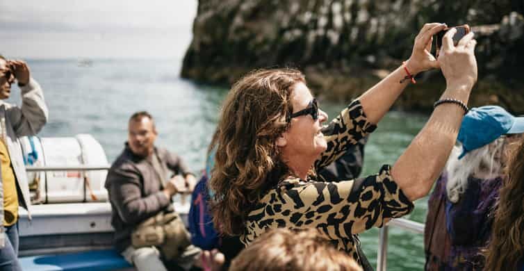 Dublin: Howth Coastal Boat Tour - Howth Cliffs and Sea Caves: what the captain is aiming for