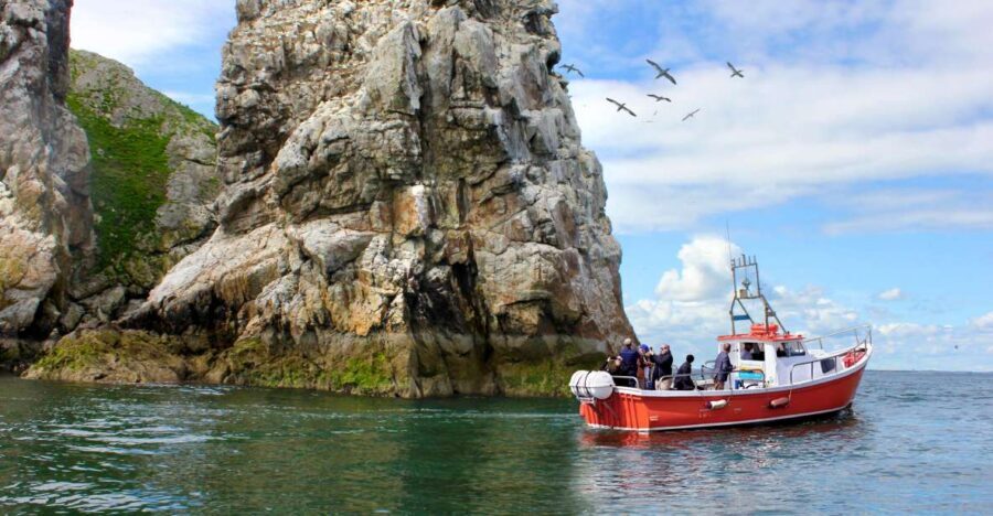 Dublin: Howth Coastal Boat Tour - Price and value: is $28 a fair deal for 50 minutes?