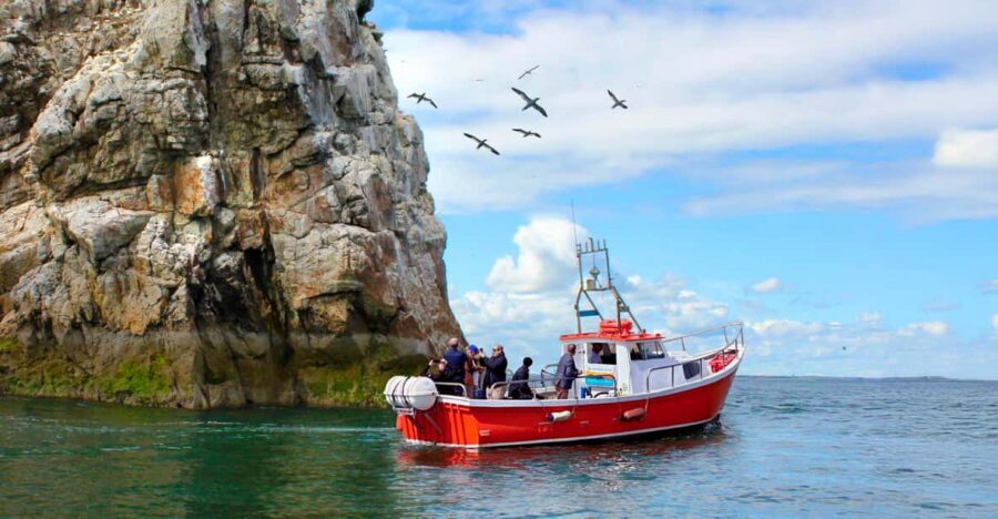 Dublin: Howth Coastal Boat Tour - The 50-Minute Cruise Loop Around Ireland’s Eye (the main event)