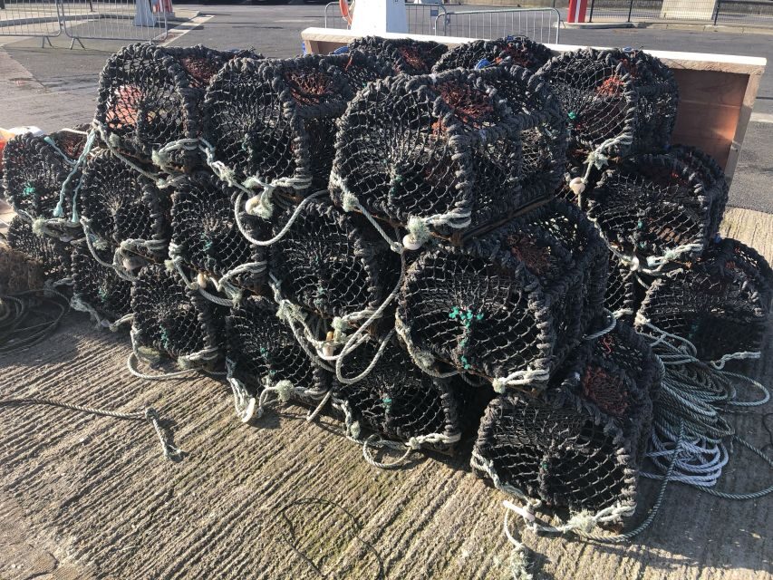 Dublin: Howth Coastal Craft Beer and Seafood Tour - Stops and pacing: how Howth’s streets make the tour work