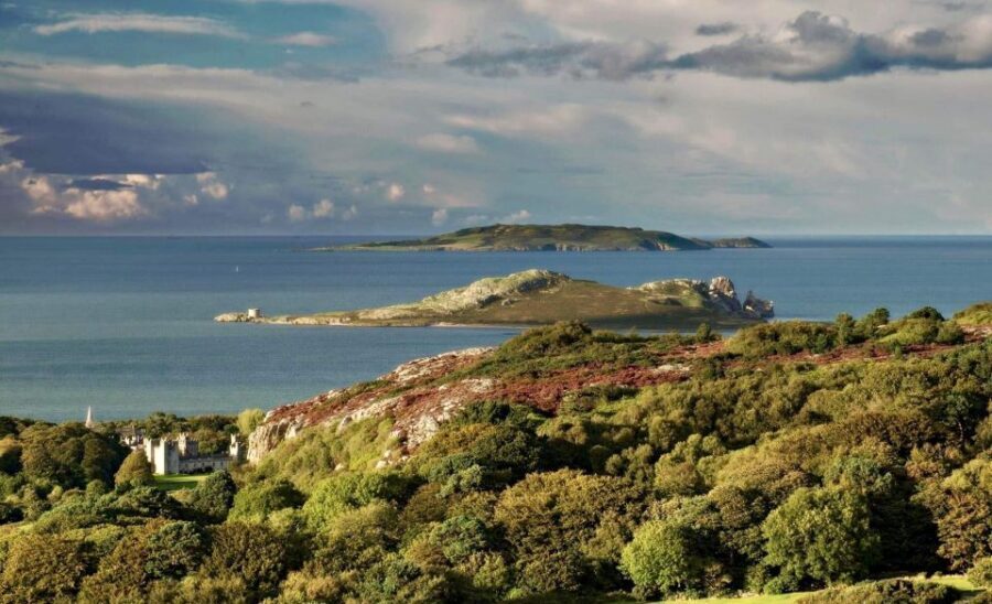 Dublin: Howth Coastal Hiking Tour - Back toward Howth Harbour: finish strong with local eating advice