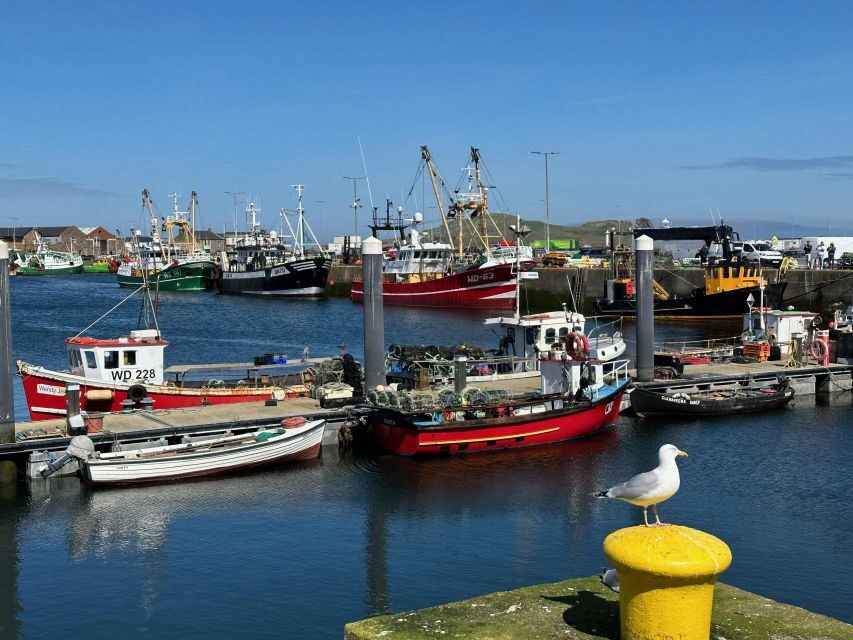 Dublin: Howth Coastal Hiking Tour - Viewpoint breaks: photo stops that actually match the terrain