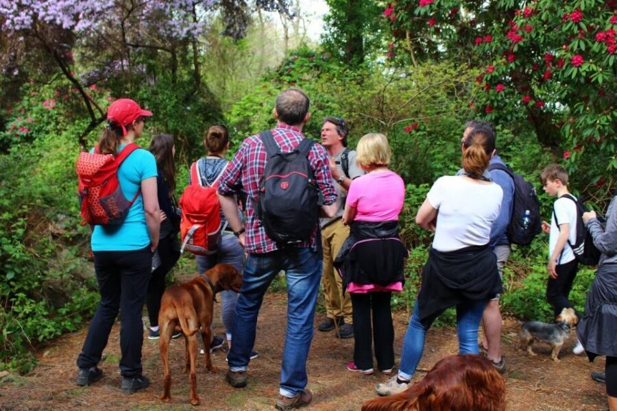 Dublin: Howth Coastal Hiking Tour - Baily Lighthouse and the cliff-walk feeling of the coast