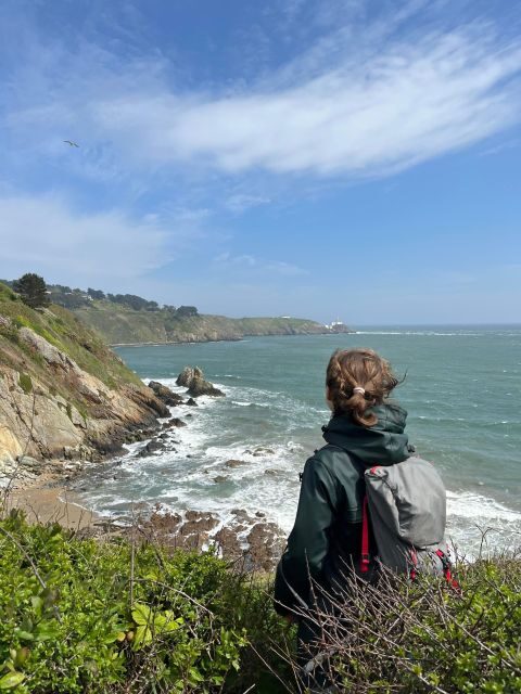 Dublin: Howth Safari Hiking Tour - Key highlights worth your attention