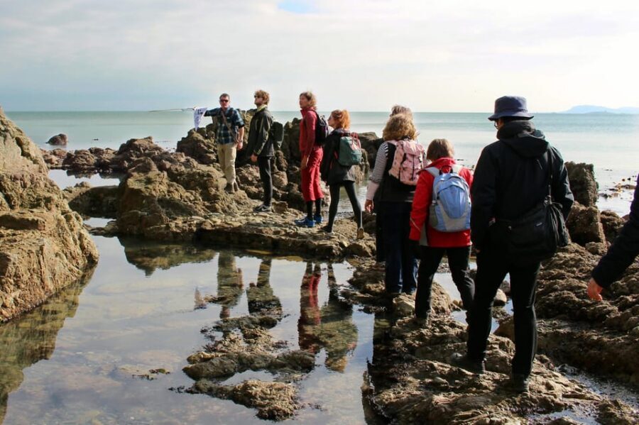 Dublin: Howth Safari Hiking Tour - Who should book this and who should skip it