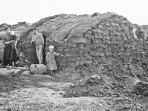 Dublin: Irish Famine Exhibition Entry Ticket - Price, hours, and how long to plan (without feeling rushed)