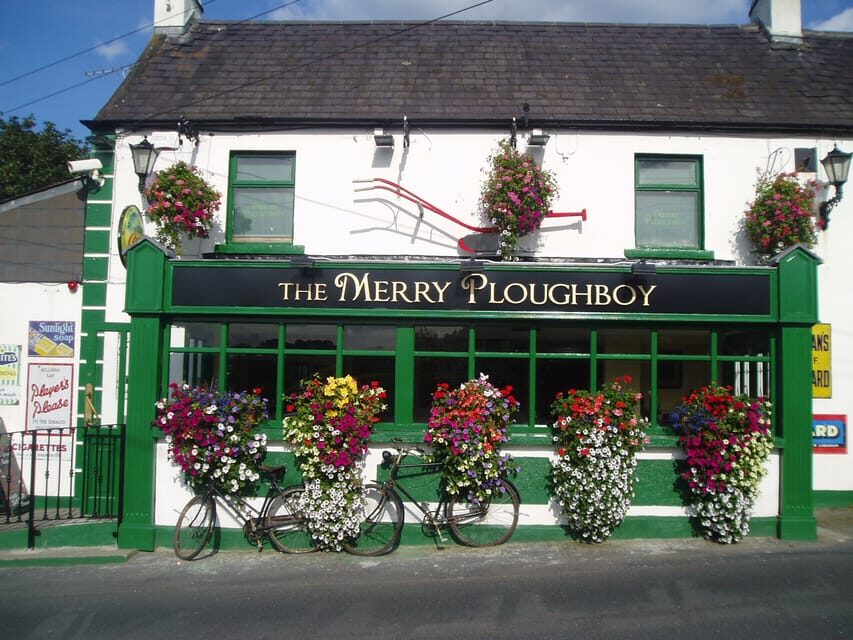 Dublin: Irish Night Show at the Merry Ploughboy Pub - The 8:00pm Show: Irish Music and Stepdancing That Moves Fast