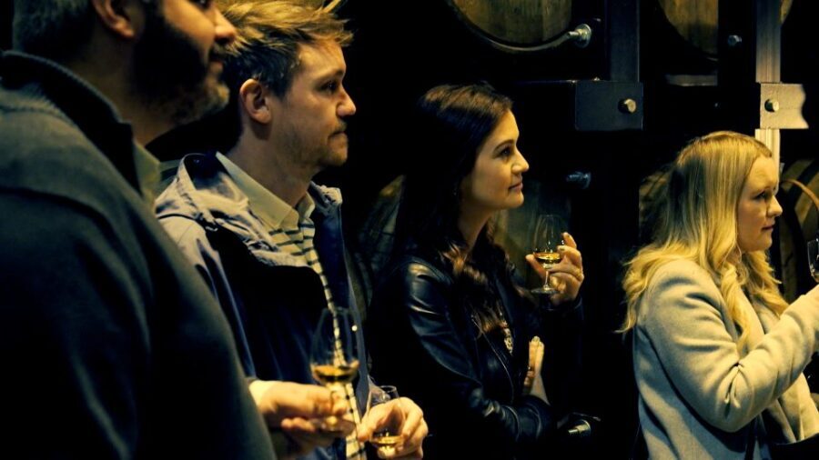 Dublin: Jameson and Guinness Private Tour with Transfers - Who This Dublin Tour Suits Best