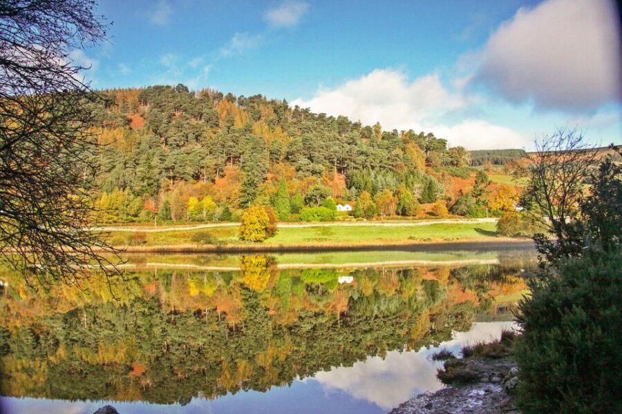 Dublin: Kilkenny, Wicklow & Glendalough Tour & Sheepdog Show - Price and Value: What You Get for Around $34