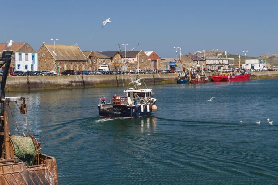 DUBLIN: Malahide castle and Howth MULTILINGUAL full day tour - Howth Fishermen’s Village: Lunch Time, Harbor Views, and That Seal Moment
