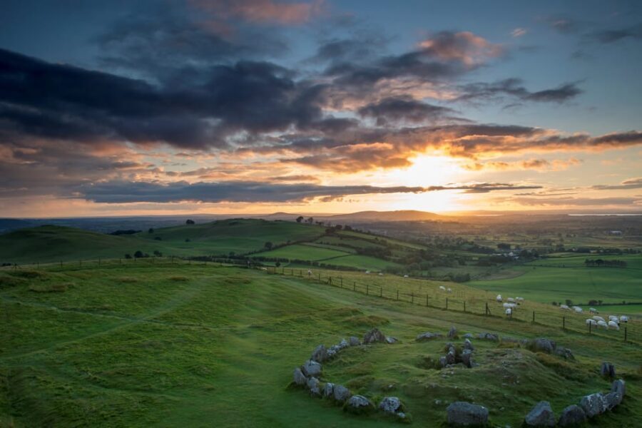Dublin: Private Boyne Valley and Trim Castle Day Tour - What Makes This Tour Worth It (and for Whom)
