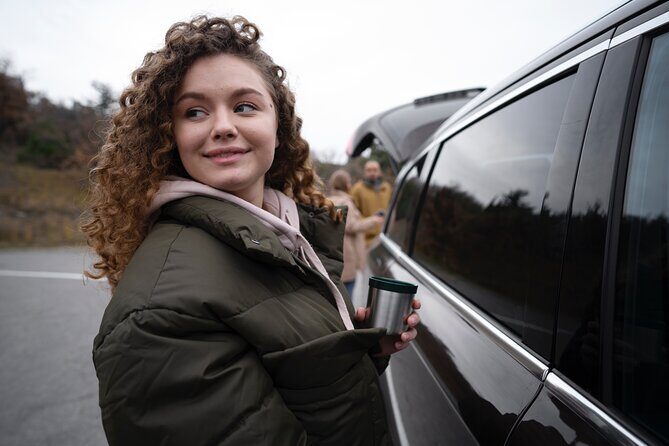 Dublin: Private Chauffeur Tour - Phoenix Park: Deer, Wellington Monument, and President’s Residence