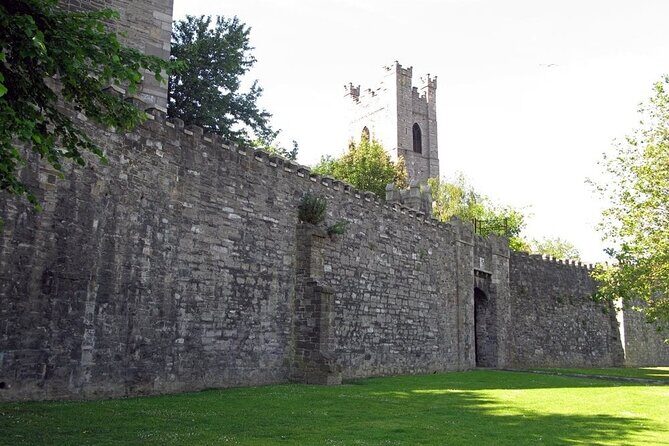 Dublin Private Medieval Walking Tour - Christ Church Cathedral: the medieval walls and Strongbow’s burial