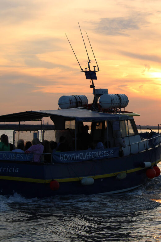 Dublin: Sunset Cruise in Howth - What to pack: warmth, small wet surprises, and comfort tips