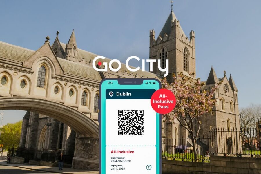 Dublin: The Dublin Pass with Tickets to 40+ Attractions - Dublinia and Dublin Castle: choosing between armor and stories