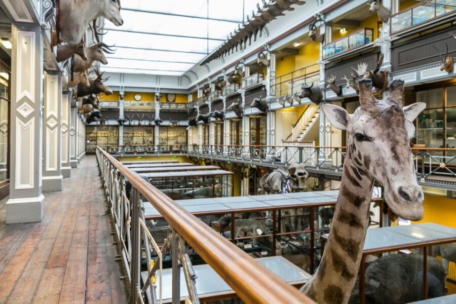 Dublin: The Dublin Pass with Tickets to 40+ Attractions - EPIC and the emigration story: a museum day that hits