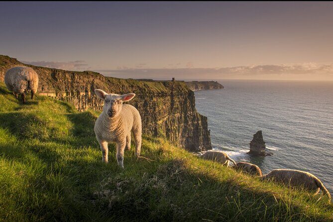 Dublin to Cliffs of Moher, Ennis Town & Bunratty Castle Day Tour - Value for Your Money: Included Tickets, Less Planning, More Looking