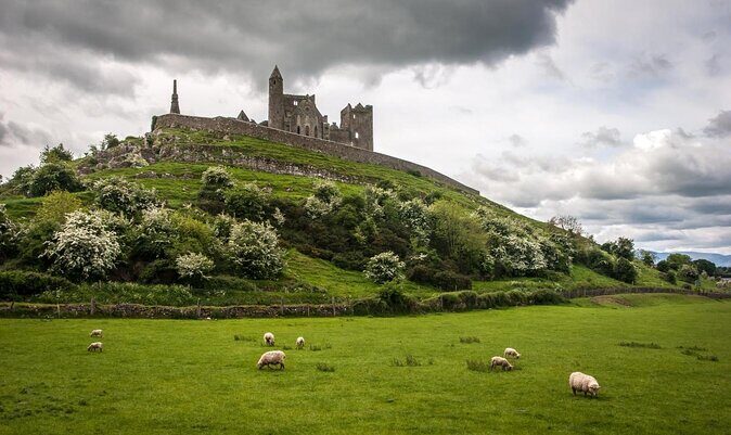 Dublin to Rock of Cashel, Cork City & Blarney Castle Guided Tour - Key Highlights You Should Care About