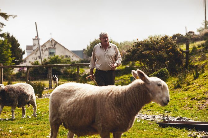 Dublin to South West 5 Day Small-Group Tour with Accommodation - Key Highlights You’ll Actually Feel on the Trip