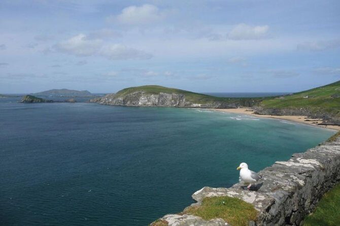 Dublin to South West 5 Day Small-Group Tour with Accommodation - Day 3: Dingle Peninsula, Inch Beach, and Slea Head Drive Views