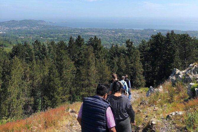 Dublin to Wicklow, Glendalough Small Group Tour with Guided Walk - Wicklow Mountains drive: Sally Gap and Lough Tay are quick hits with big payoff