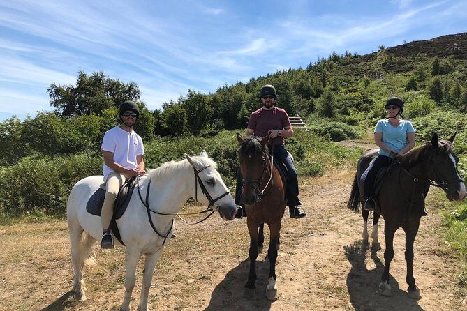 Dublin to Wicklow, Glendalough Small Group Tour with Horse Riding - Killegar Stables Horse Riding Outside Enniskerry