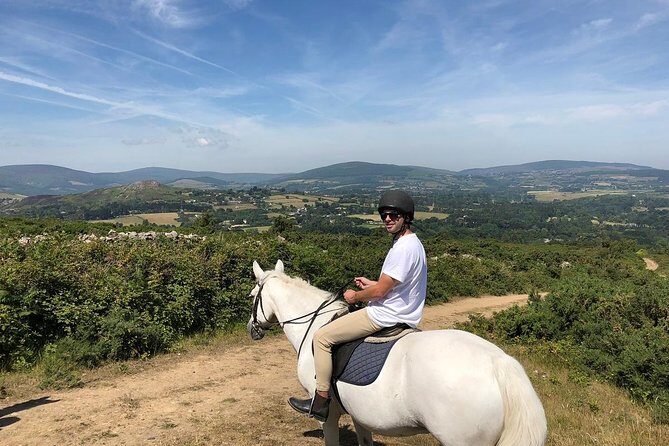Dublin to Wicklow, Glendalough Small Group Tour with Horse Riding - Price and Value: $151.16 for Horses Plus Wicklow Highlights