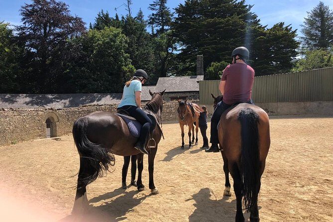 Dublin to Wicklow, Glendalough Small Group Tour with Horse Riding - Should You Book This Dublin to Wicklow Horse Riding Tour?