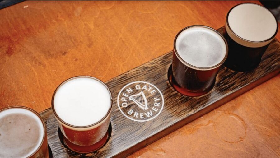 Dublin: Traditional Pubs Walking Tour with Local Guide - Guide Quality Makes or Breaks This Tour