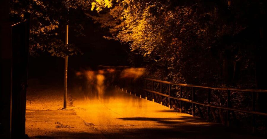 Dublin walking tour: ghosts & haunted places - Key highlights worth showing up for
