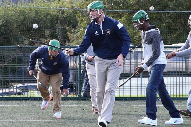 Experience Gaelic Games in Dublin - Who should book Gaelic games in Dublin