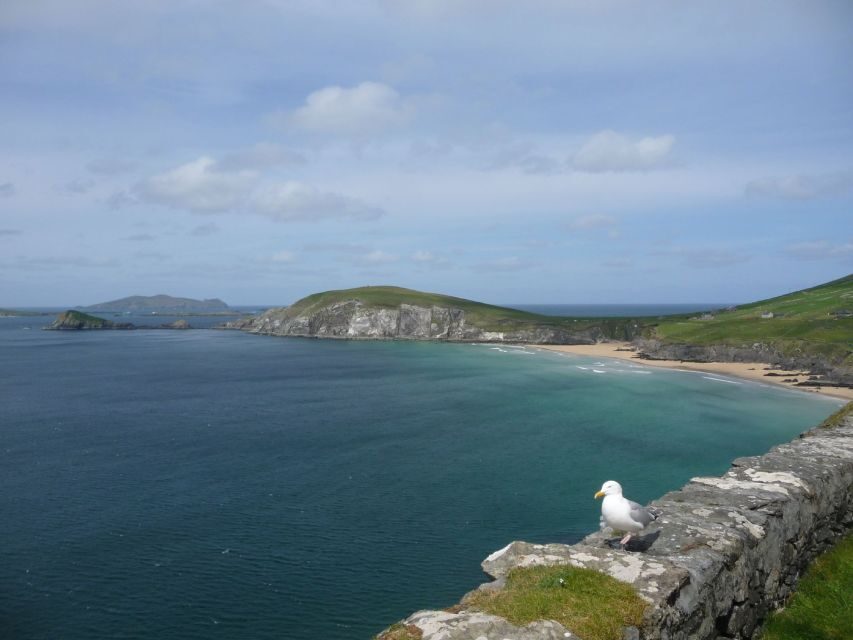 From Dublin: 5-Day Tour to the Southwest with Accommodation - Galway City overnight: a useful base for the next legs