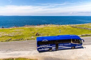 From Dublin: Cliffs of Moher, Bird of Prey & Aillwee Cave - Fanore Lunch at O’Donohue’s Pub: A Convenient Stop That Won’t Break Your Budget