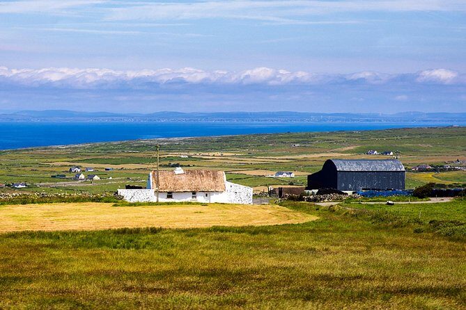 From Dublin: Cliffs of Moher, Bird of Prey & Aillwee Cave - Who You’ll Spend the Day With: Guides, Stories, and Real-World Timing