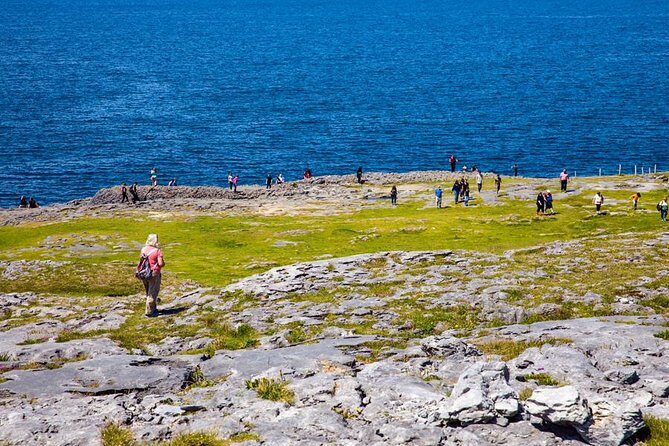 From Dublin: Cliffs of Moher, Bird of Prey & Aillwee Cave - Bus Comfort, Day Length, and Motion-Sickness Tips That Actually Help
