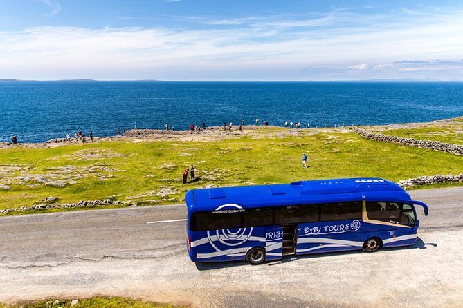 From Dublin: Cliffs of Moher, Bird of Prey & Aillwee Cave - Fanore Lunch at O’Donohue’s Pub: A Convenient Stop That Won’t Break Your Budget