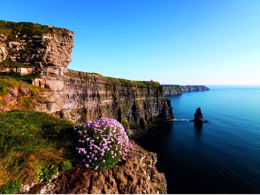 From Dublin: Cliffs of Moher Small Group Tour - Who should book this tour, and who might skip it?