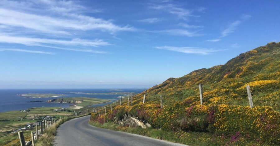 From Dublin: Connemara and Galway Bay Day Tour - Quick Hits: What Makes This Day Tour Work