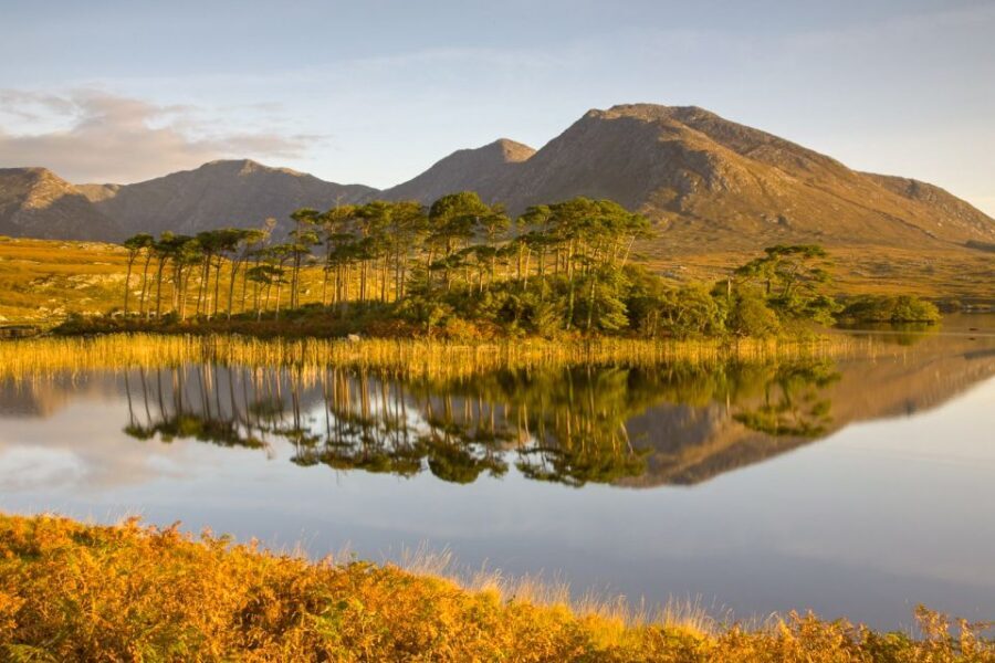 From Dublin: Connemara and Galway Full-Day Tour - Guides, storytelling, and the comfort factor on a long day